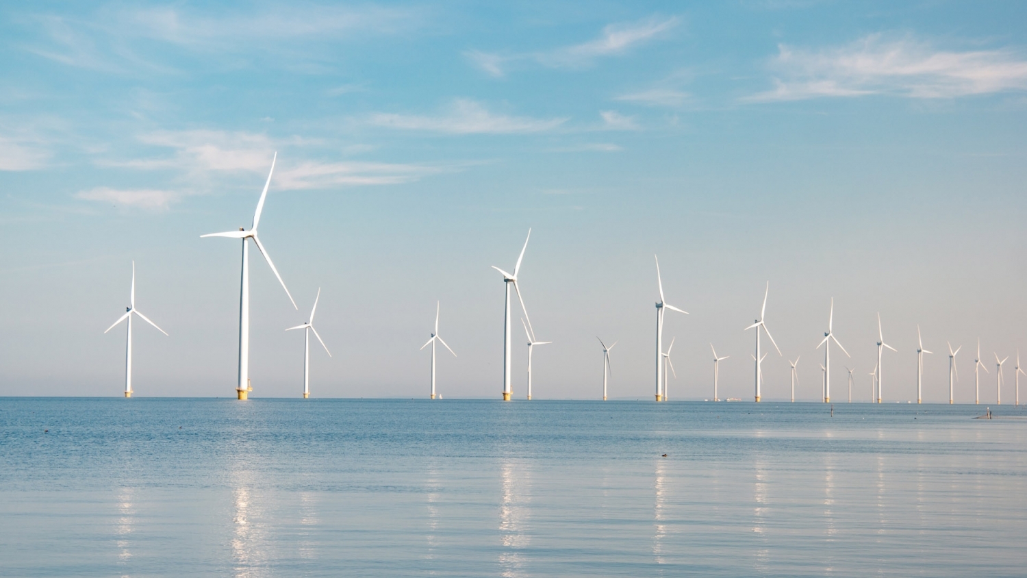 TCM and the potential to participate in offshore wind power projects